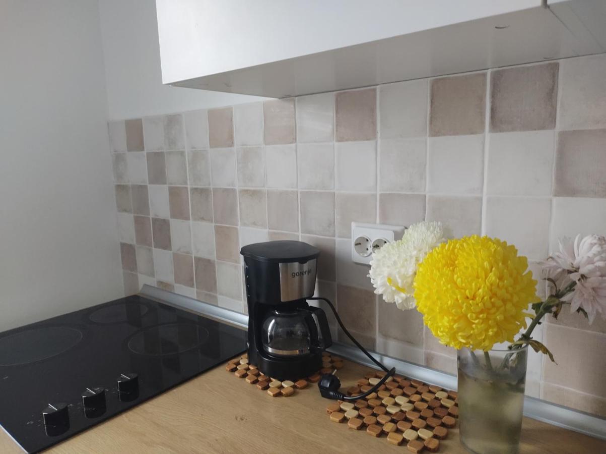 Comfy Condo Otopeni Dış mekan fotoğraf
